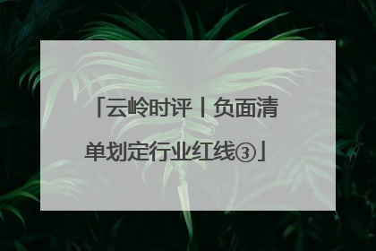 云岭时评丨负面清单划定行业红线③