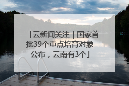 云新闻关注｜国家首批39个重点培育对象公布，云南有3个