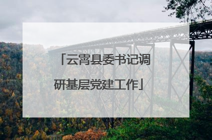 云霄县委书记调研基层党建工作