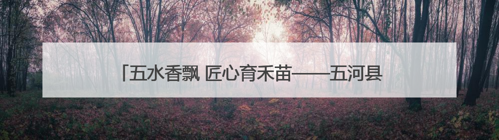 五水香飘 匠心育禾苗——五河县东刘集中心小学劳动教育实践成果展暨夏集小学首届美食节盛大举行