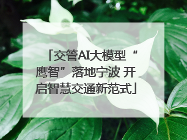 交管AI大模型“鹰智”落地宁波 开启智慧交通新范式