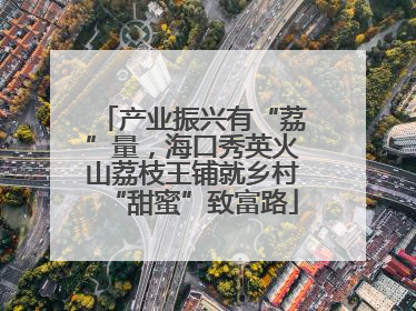 产业振兴有“荔”量，海口秀英火山荔枝王铺就乡村“甜蜜”致富路