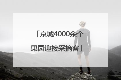 京城4000余个果园迎接采摘客