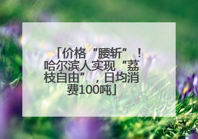 价格“腰斩”！哈尔滨人实现“荔枝自由”，日均消费100吨