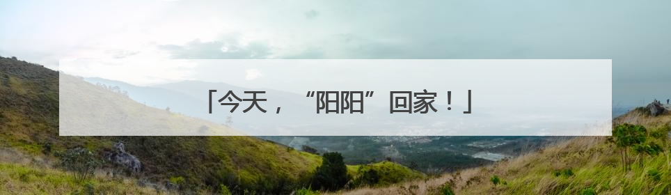 今天，“阳阳”回家！