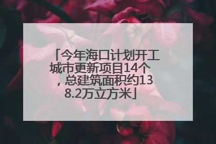 今年海口计划开工城市更新项目14个，总建筑面积约138.2万立方米