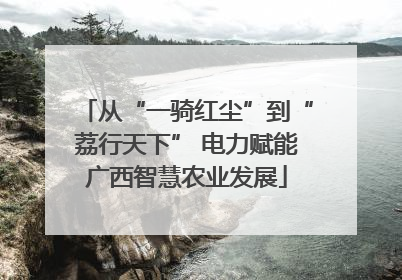 从“一骑红尘”到“荔行天下” 电力赋能广西智慧农业发展