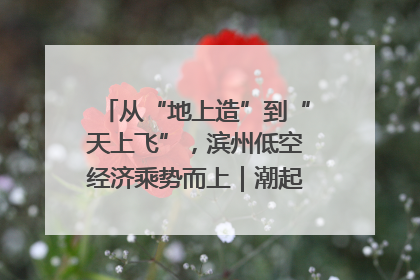 从“地上造”到“天上飞”，滨州低空经济乘势而上｜潮起渤海・网聚黄蓝