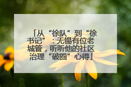 从“徐队”到“徐书记”：无锡有位老城管，听听他的社区治理“破圈”心得