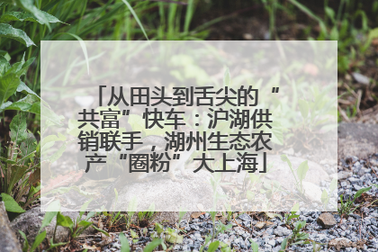 从田头到舌尖的“共富”快车：沪湖供销联手，湖州生态农产“圈粉”大上海