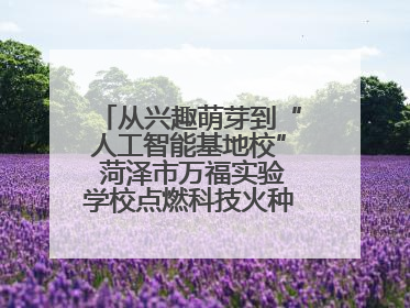 从兴趣萌芽到“人工智能基地校” 菏泽市万福实验学校点燃科技火种，赋能未来人才
