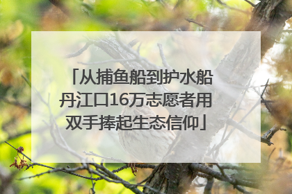 从捕鱼船到护水船 丹江口16万志愿者用双手捧起生态信仰