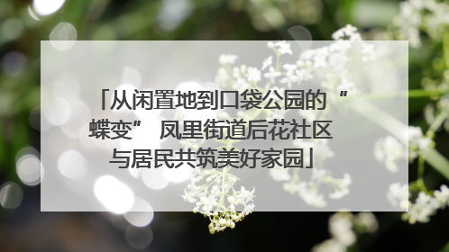 从闲置地到口袋公园的“蝶变” 凤里街道后花社区与居民共筑美好家园