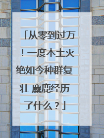 从零到过万！一度本土灭绝如今种群复壮 麋鹿经历了什么？