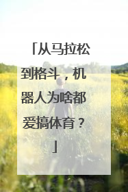 从马拉松到格斗，机器人为啥都爱搞体育？