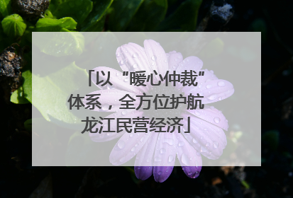 以“暖心仲裁”体系，全方位护航龙江民营经济