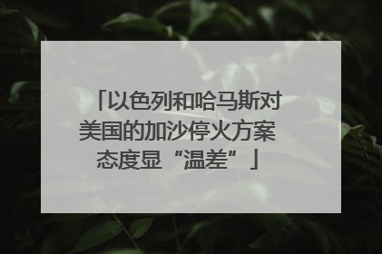以色列和哈马斯对美国的加沙停火方案态度显“温差”