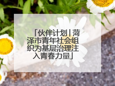 伙伴计划│菏泽市青年社会组织为基层治理注入青春力量