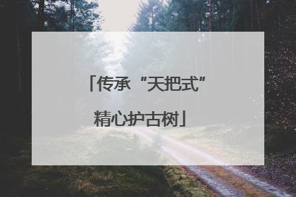 传承“天把式” 精心护古树