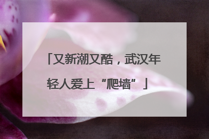 又新潮又酷，武汉年轻人爱上“爬墙”