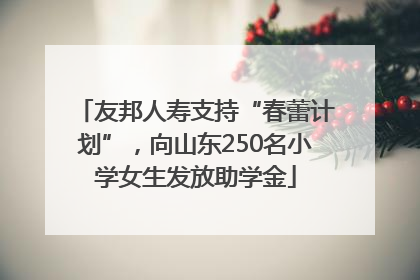 友邦人寿支持“春蕾计划”，向山东250名小学女生发放助学金