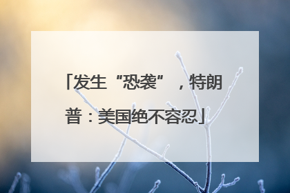 发生“恐袭”，特朗普：美国绝不容忍