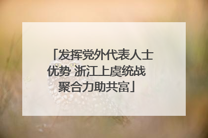 发挥党外代表人士优势 浙江上虞统战聚合力助共富