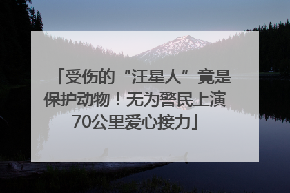 受伤的“汪星人”竟是保护动物！无为警民上演70公里爱心接力