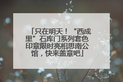 只在明天！“西成里”石库门系列套色印章限时亮相思南公馆，快来盖章吧