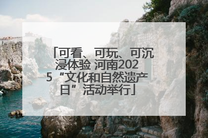 可看、可玩、可沉浸体验 河南2025“文化和自然遗产日”活动举行