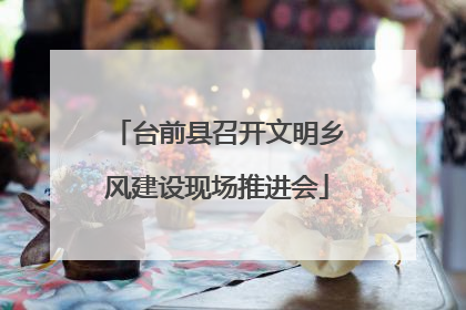 台前县召开文明乡风建设现场推进会