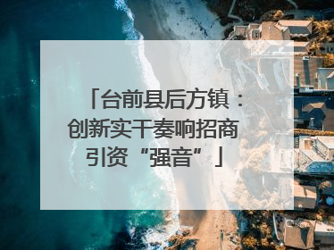 台前县后方镇：创新实干奏响招商引资“强音”