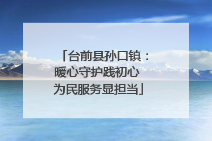 台前县孙口镇：暖心守护践初心 为民服务显担当