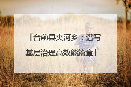 台前县夹河乡：谱写基层治理高效能篇章