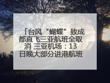 台风“蝴蝶”致成都直飞三亚航班全取消 三亚机场：13日晚大部分进港航班还未取消