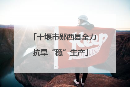 十堰市郧西县全力抗旱“稳”生产