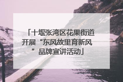 十堰张湾区花果街道开展“东风故里育新风”品牌宣讲活动