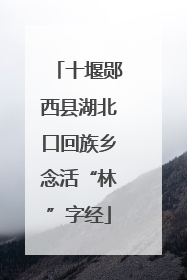 十堰郧西县湖北口回族乡念活“林”字经