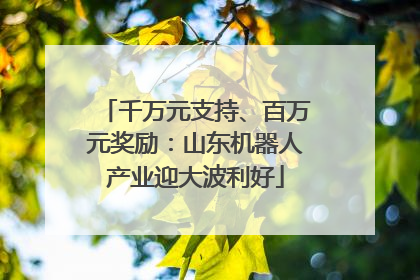 千万元支持、百万元奖励：山东机器人产业迎大波利好