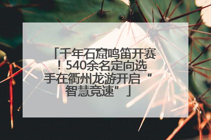 千年石窟鸣笛开赛！540余名定向选手在衢州龙游开启“智慧竞速”