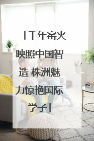 千年窑火映照中国智造 株洲魅力惊艳国际学子