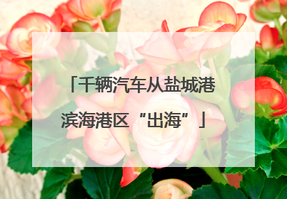 千辆汽车从盐城港滨海港区“出海”
