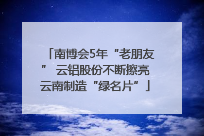 南博会5年“老朋友” 云铝股份不断擦亮云南制造“绿名片”