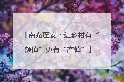 南充蓬安：让乡村有“颜值”更有“产值”