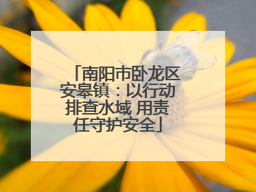 南阳市卧龙区安皋镇：以行动排查水域 用责任守护安全