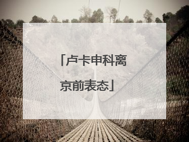 卢卡申科离京前表态