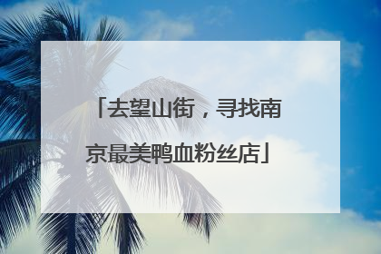 去望山街，寻找南京最美鸭血粉丝店