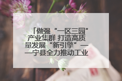 做强“一区三园”产业集群 打造高质量发展“新引擎”——宁县全力推动工业经济提质增效