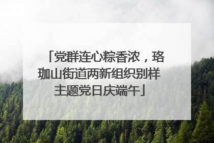 党群连心粽香浓，珞珈山街道两新组织别样主题党日庆端午