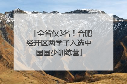 全省仅3名！合肥经开区两学子入选中国国少训练营